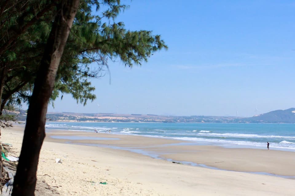 Bãi biển Mũi Né, hàng dương và cát trắng
