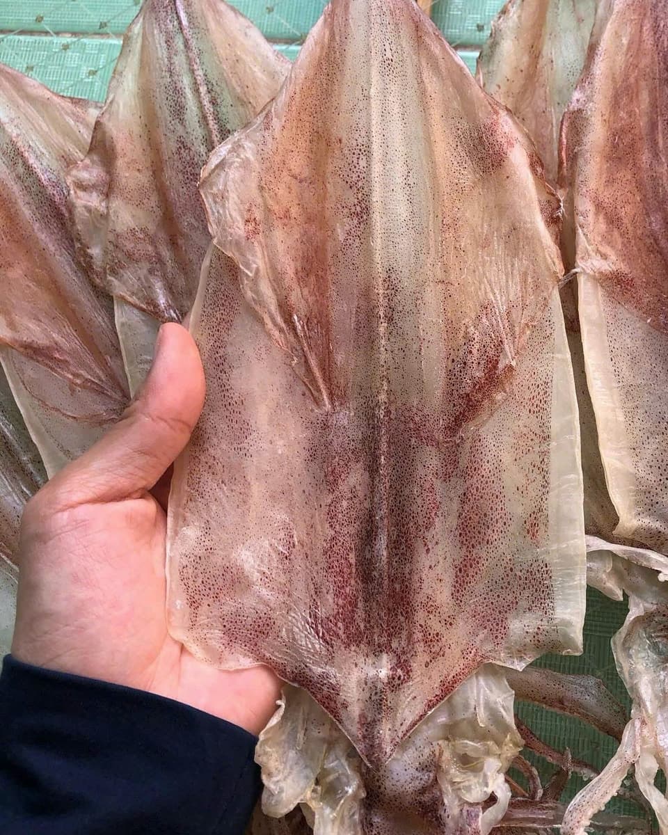 Mực lá phơi một nắng trên lưới