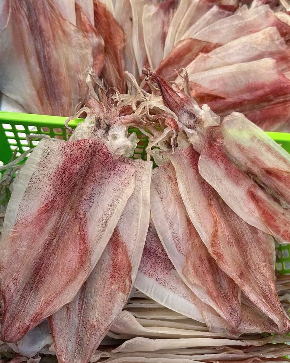 Mực một nắng xếp trong rổ