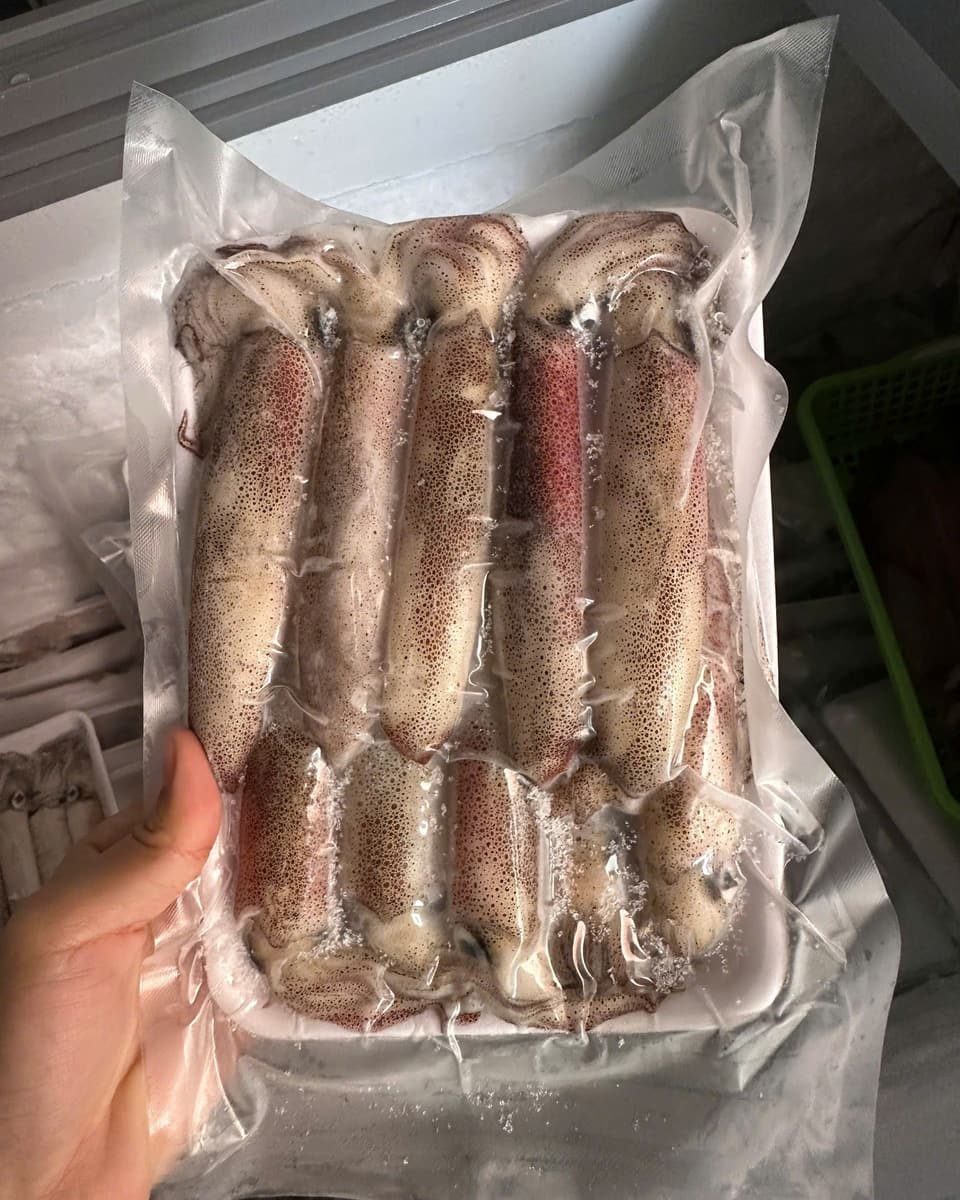Khay mực ống đã hút chân không, cầm trên tay