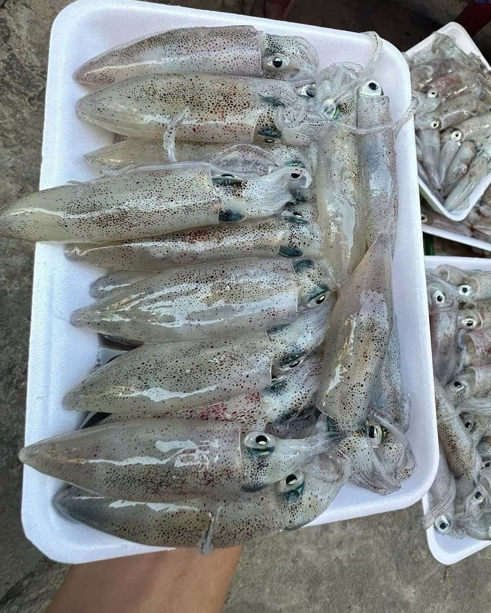 Khay mực ống tươi đặt trong hẻm, chờ tách đơn